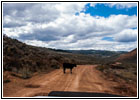 Strawberry Valley Rd, Utah
