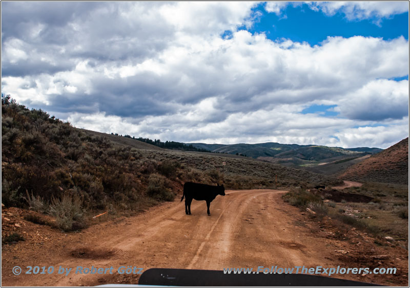 Strawberry Valley Rd, Utah