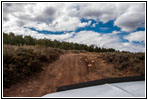 FR105/Saddle Creek, Utah