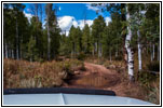FR105/Hells Hollow, Utah