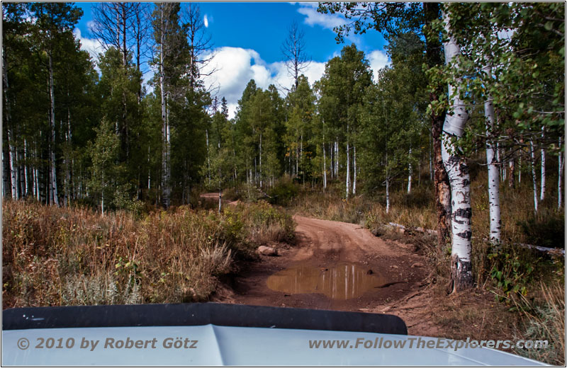 FR105/Hells Hollow, Utah