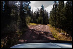 FR007/Temple Fork Rd, Utah
