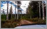 FR007/Temple Fork Rd, Utah