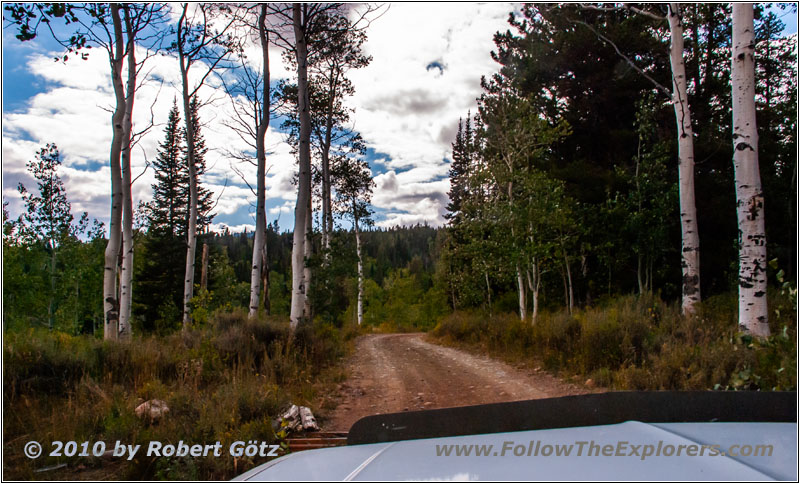FR007/Temple Fork Rd, Utah