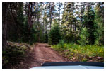 FR007/Temple Fork Rd, Utah