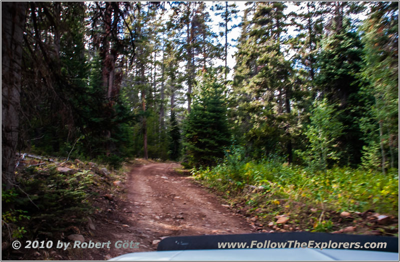 FR007/Temple Fork Rd, Utah