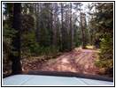 FR007/Temple Fork Rd, Utah