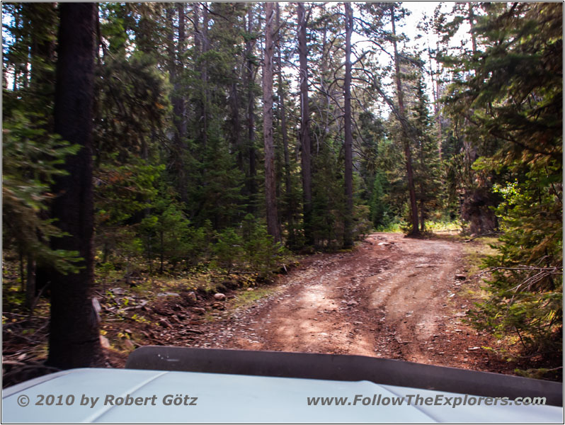FR007/Temple Fork Rd, Utah