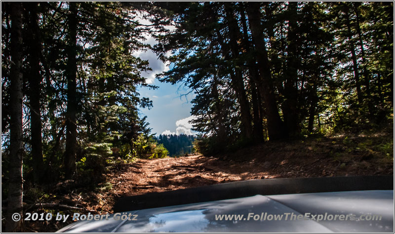 FR007/Temple Fork Rd, Utah