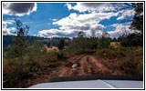 FR007/Temple Fork Rd, Utah