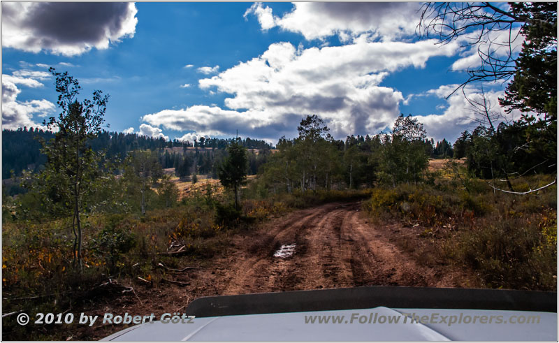 FR007/Temple Fork Rd, Utah