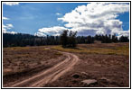 FR007/Temple Fork Rd, Utah