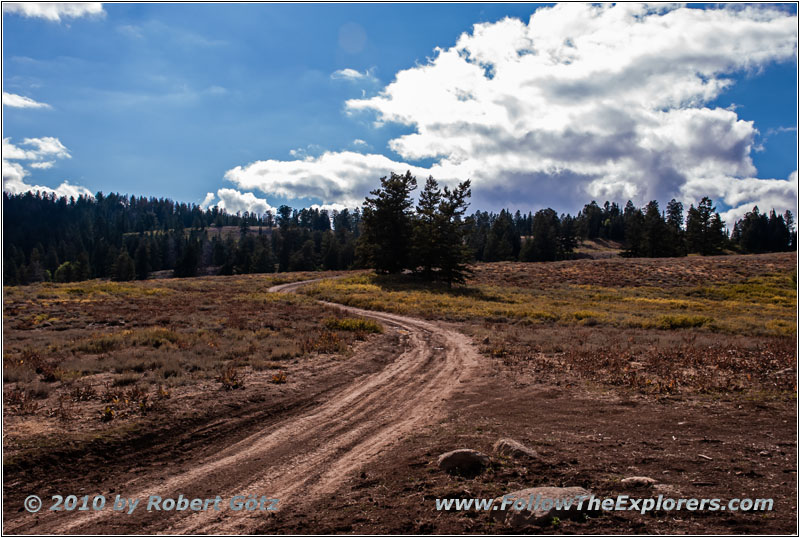 FR007/Temple Fork Rd, Utah