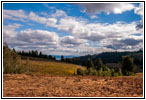 FR007/Temple Fork Rd, Utah