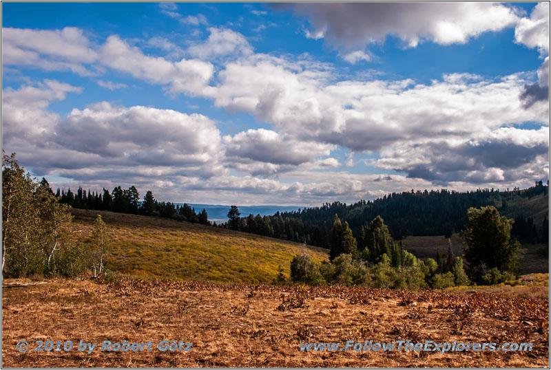 FR007/Temple Fork Rd, Utah