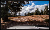 FR007/Temple Fork Rd, Utah