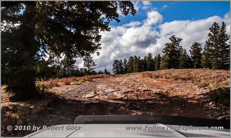 FR007/Temple Fork Rd, Utah