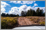 FR007/Temple Fork Rd, Utah