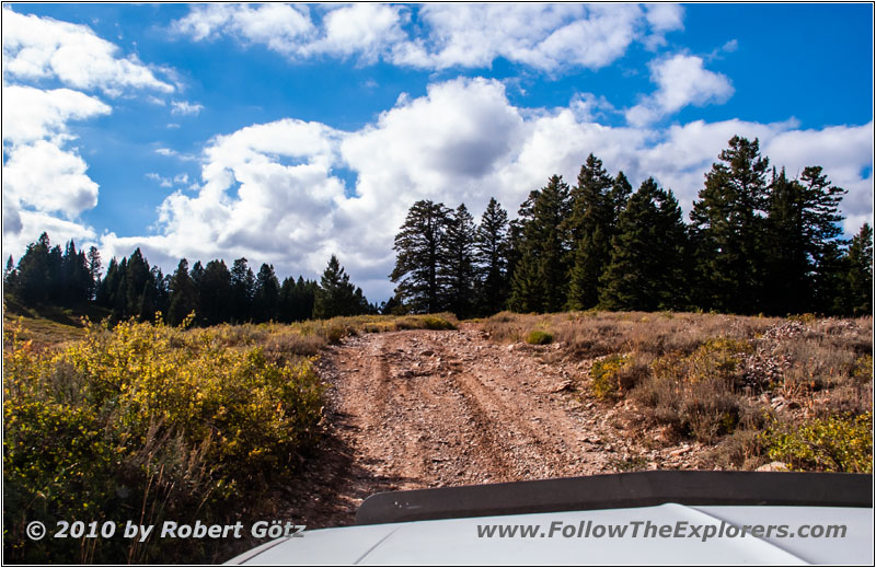FR007/Temple Fork Rd, Utah