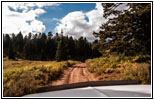 FR007/Temple Fork Rd, Utah