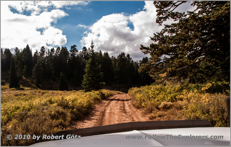 FR007/Temple Fork Rd, Utah