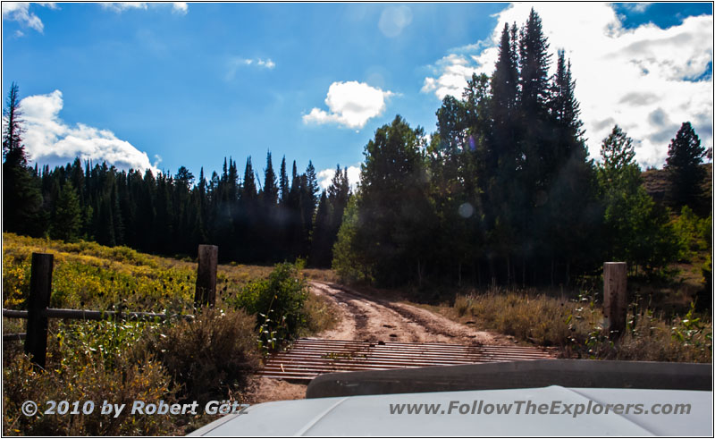FR007/Temple Fork Rd, Utah