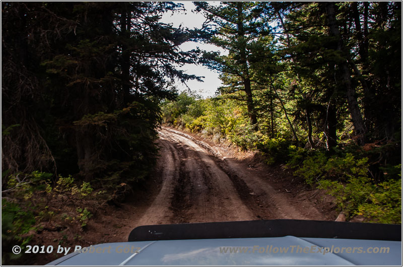 FR007/Temple Fork Rd, Utah