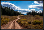 FR007/Temple Fork Rd, Utah