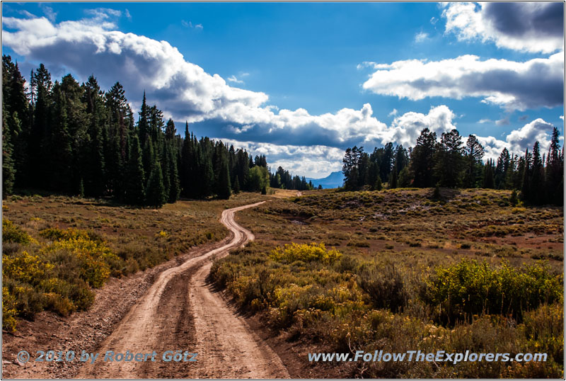 FR007/Temple Fork Rd, Utah