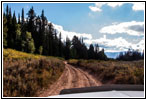 FR007/Temple Fork Rd, Utah