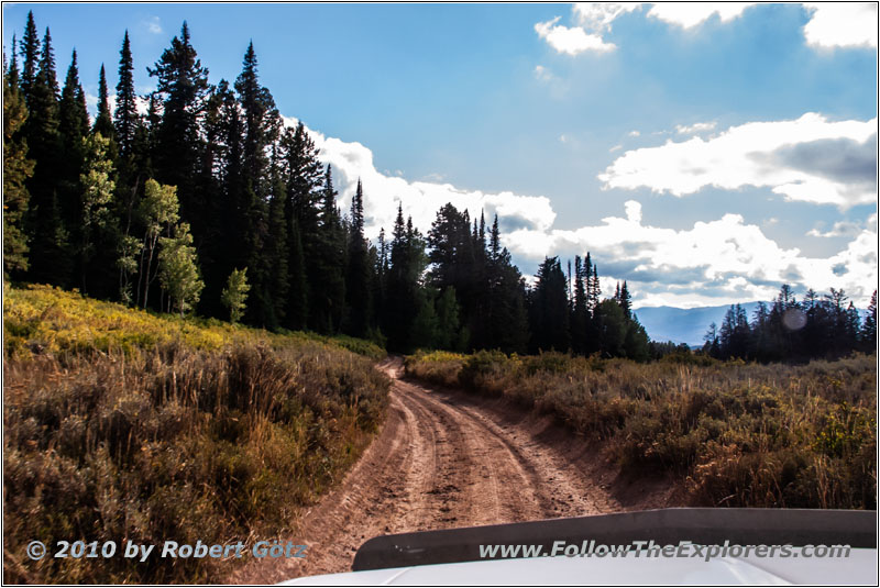 FR007/Temple Fork Rd, Utah