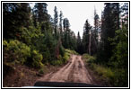 FR007/Temple Fork Rd, Utah