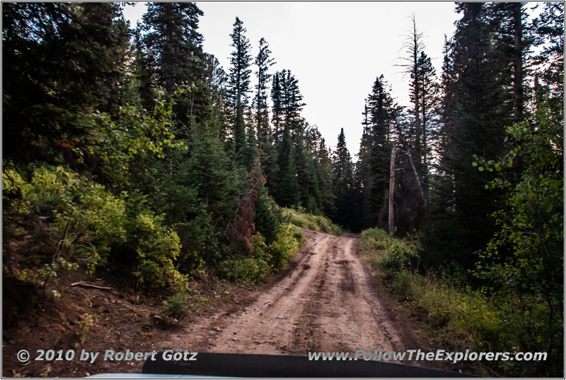 FR007/Temple Fork Rd, Utah