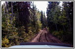 FR007/Temple Fork Rd, Utah