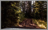 FR007/Temple Fork Rd, Utah