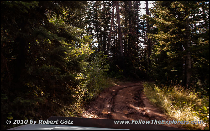 FR007/Temple Fork Rd, Utah