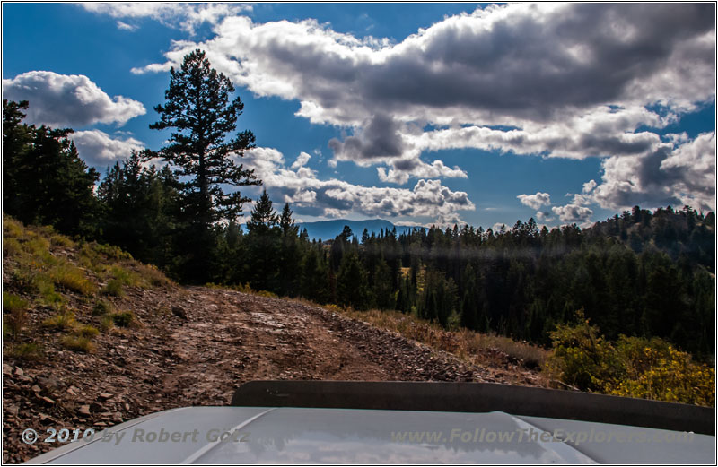 FR007/Temple Fork Rd, Utah