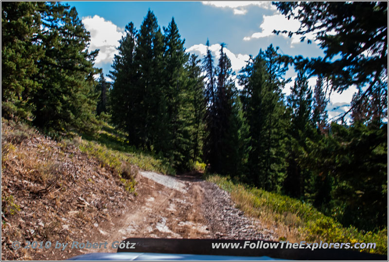 FR007/Temple Fork Rd, Utah
