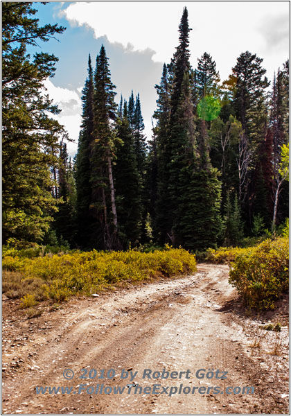 FR007/Temple Fork Rd, Utah