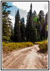 FR007/Temple Fork Rd, Utah