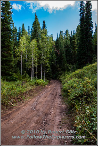 FR007/Temple Fork Rd, Utah