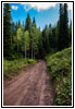 FR007/Temple Fork Rd, Utah
