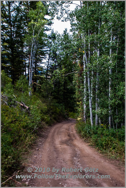 FR007/Temple Fork Rd, Utah
