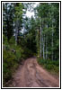 FR007/Temple Fork Rd, Utah