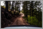 FR007/Temple Fork Rd, Utah