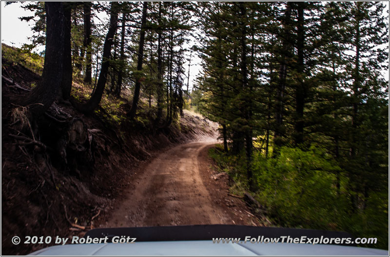 FR007/Temple Fork Rd, Utah