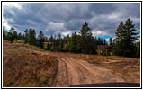 FR007/Temple Fork Rd, Utah