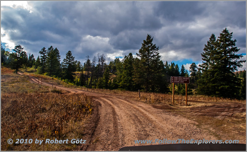 FR007/Temple Fork Rd, Utah