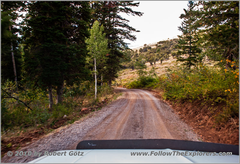 FR007/Temple Fork Rd, Utah