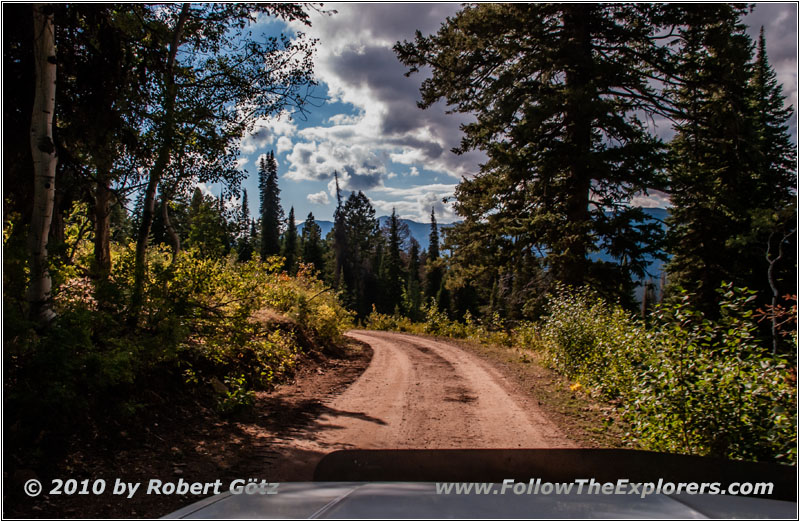 FR007/Temple Fork Rd, Utah